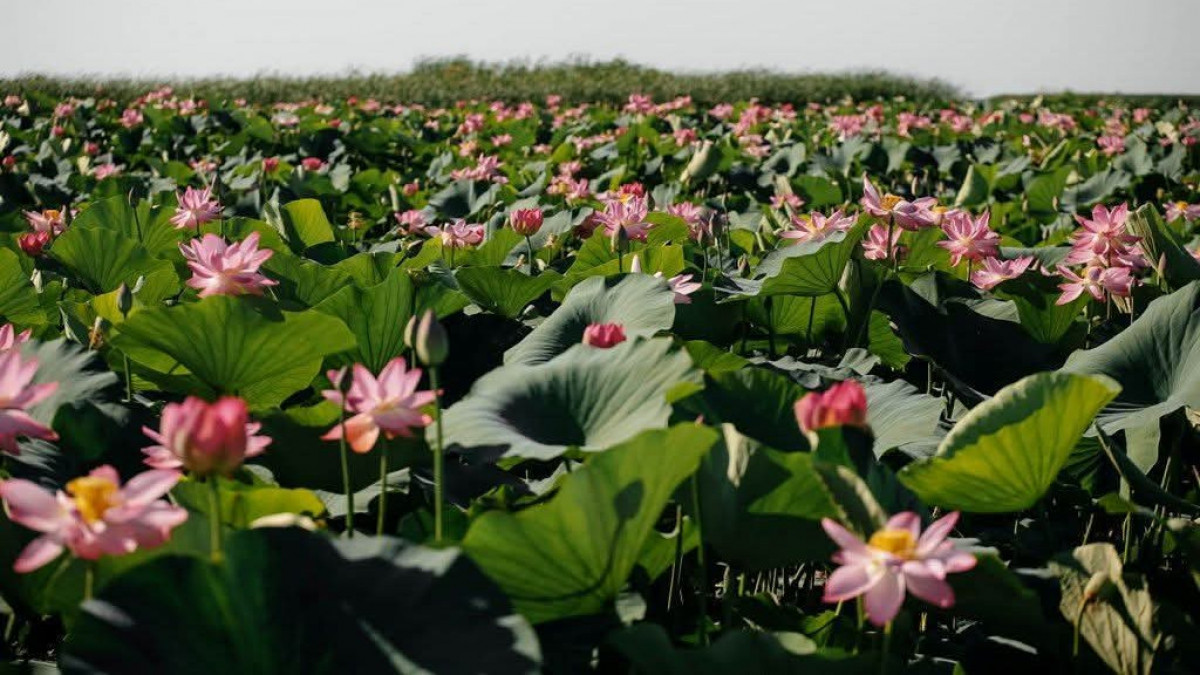  Құрманғазы ауданы әкімдігінің баспасөз қызметі