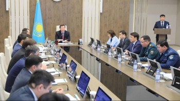 Фотография к новости: Ақтөбе облысында 168 мың көшет егілмек