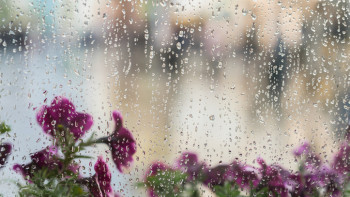 Фотография к новости: Бүгін елімізде ауа райы қандай болады