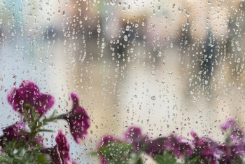 Фотография к новости: Бүгін елімізде ауа райы қандай болады