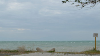 Фотография к новости: Маңғыстау облысында шомылуға тыйым салынған жерлер анықталды