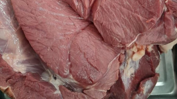 Фотография к новости: Депутат бруцеллез жұққан еттің таралуына алаңдаулы