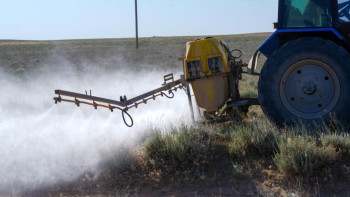 Фотография к новости: Шегірткеге қарсы күрес шаралары 844 мың гектар аумақта жүргізілді