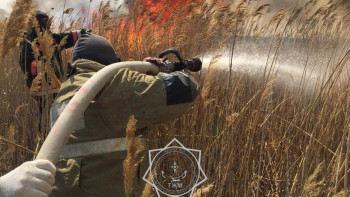 Фотография к новости: Атырау облысында қамыс өртін сөндіруге 30 тонна су төгілді