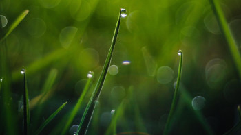 Фотография к новости: 40 градусқа дейін ыстық, солтүстікте жаңбыр: Алдағы үш күнге ауа райы болжамы