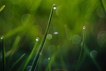 Фотография к новости: 40 градусқа дейін ыстық, солтүстікте жаңбыр: Алдағы үш күнге ауа райы болжамы