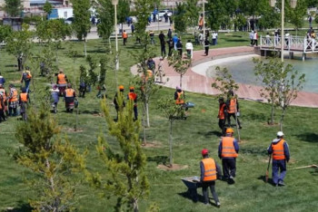 Фотография к новости: "Таза Қазақстан": Түркістан облысында 2614 экологиялық іс-шара өткізілді