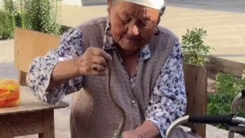 Фотография к новости: 85 жастағы әже ауласында жүрген жыланды ұстап алды