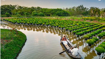 Фотография к новости: Вьетнамға жиі баратын болсаңыз, біле жүріңіз!