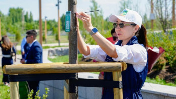 Фотография к новости: Әрбір нәрестеге – бір ағаш: Астанада ерекше экоакция өтті
