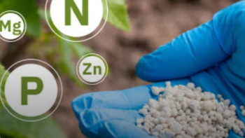 Фотография к новости: Отандық тыңайтқыштардың көлемі 4 миллион тоннаға дейін ұлғайтылады