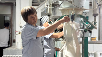 Фотография к новости: Тұрақты жұмыс пен 300 мың теңге жалақы: Бір ауылдың тұрғындары зауытта астық өндіреді