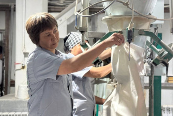 Фотография к новости: Тұрақты жұмыс пен 300 мың теңге жалақы: Бір ауылдың тұрғындары зауытта астық өндіреді