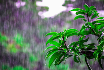 Фотография к новости: Жаңбыр, бұршақ: бүгін елімізде ауа райы қандай болады