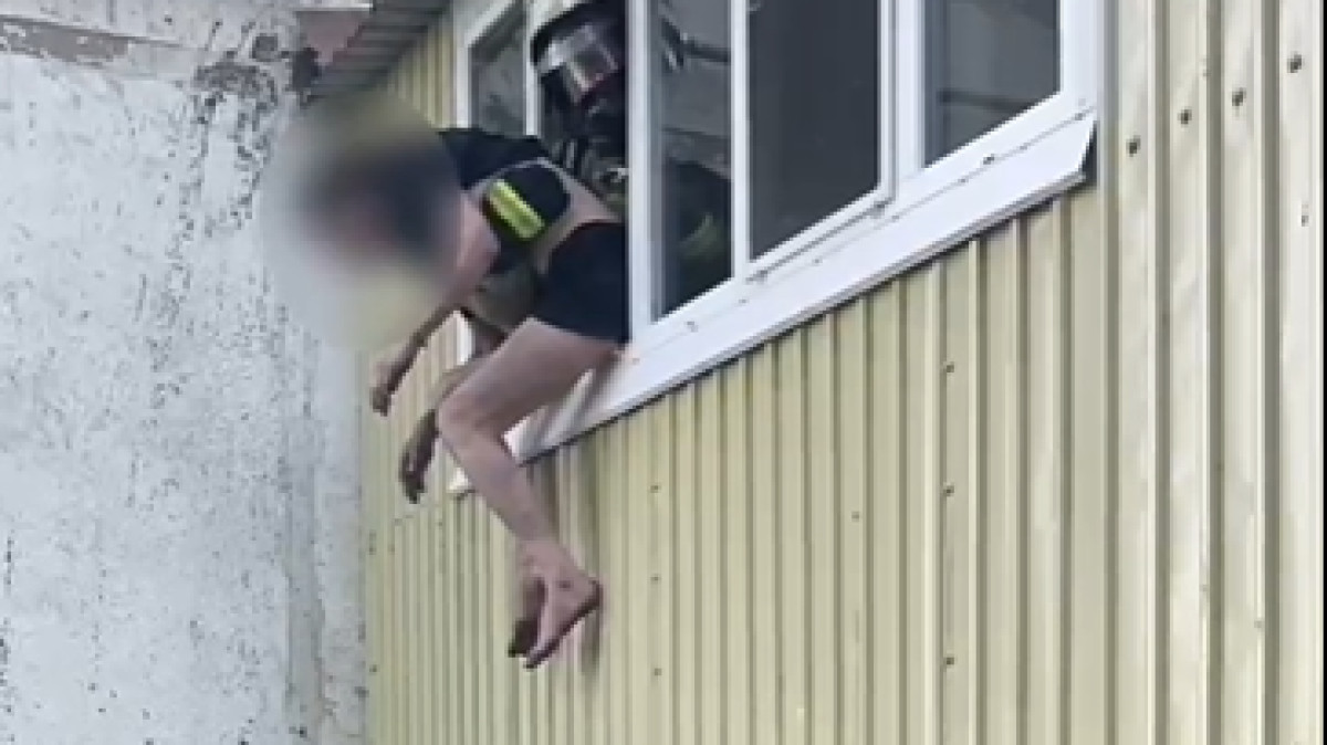  Видеодан кадр