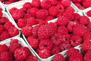 Фотография к новости: Сатушы жеміс сақталған бөлмеге дихлофос шашып, жәндіктерді улады