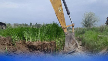 Фотография к новости: Шығыс Қазақстанда 55 шақырым суару каналы тазартылды