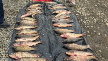 Фотография к новости: "Бурабай" ұлттық паркінде браконьерлер ұсталып, 178 келі балық тәркіленді