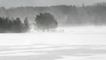 Фотография к новости: Оңтүстік Африкада қарлы дауылдан елуге жуық адам қайтыс болды