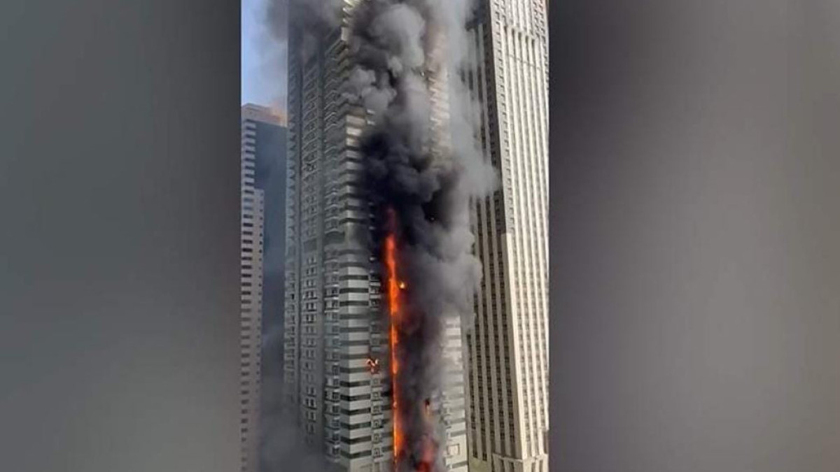  видеодан скриншот