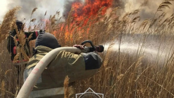 Фотография к новости: Атыраудағы қамыс өрті әлі толық сөнбей жатыр