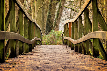 Фотография к новости: "Соңғы селфи": Көпір құлап, туристер қаза тапты