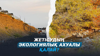 Фотография к новости: Жетісу облысында рұқсат етілмеген 243 қоқыс орны анықталды