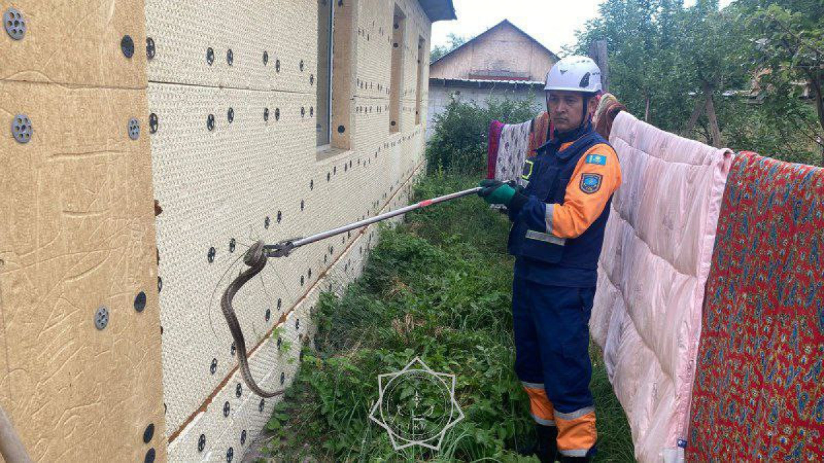  ТЖМ баспасөз қызметі