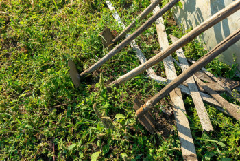 Фотография к новости: Жетісудағы 2 гектар жерге заңсыз қоқыс өңдейтін зауыт салмақ болған