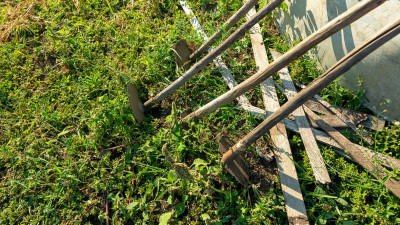 Жетісудағы 2 гектар жерге заңсыз қоқыс өңдейтін зауыт салмақ болған