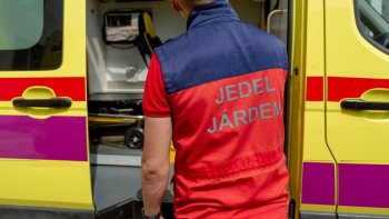 Фотография к новости: Ақтөбе облысындағы саябақта 10 жасар баланы тоқ соққан