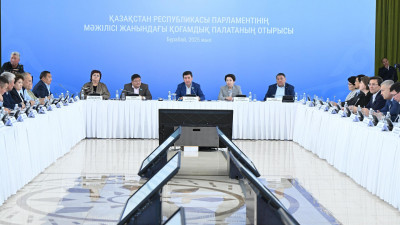 Мәжіліс жанындағы Қоғамдық палатаның жұмысы қорытындыланды