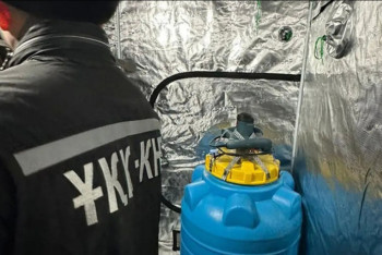 Фотография к новости: Мұнайлыда есірткінің үлкен партиясы тәркіленді