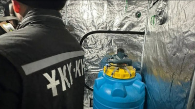 Мұнайлыда есірткінің үлкен партиясы тәркіленді