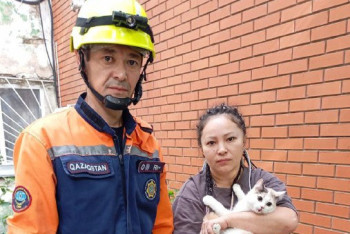 Құтқарушылар мысықты ағаштан түсіруге көмектесті