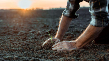 Фотография к новости: Елімізде фермерлік далалық мектептер ашылады