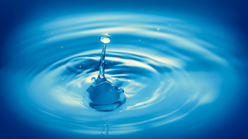 Фотография к новости: Сутегі өндірісіне қанша су керек? – Сумині түсіндірді