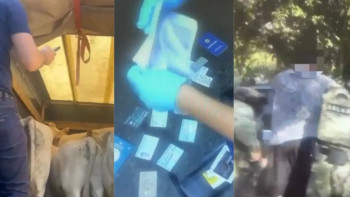 Фотография к новости: Жетісуда құны 9 млн теңгенің малын ұрлағандар анықталды