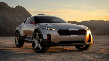 Фотография к новости: Қазақстанға контрабандалық жолмен келген көліктерге қатысты үкімет тексеру жүргізеді