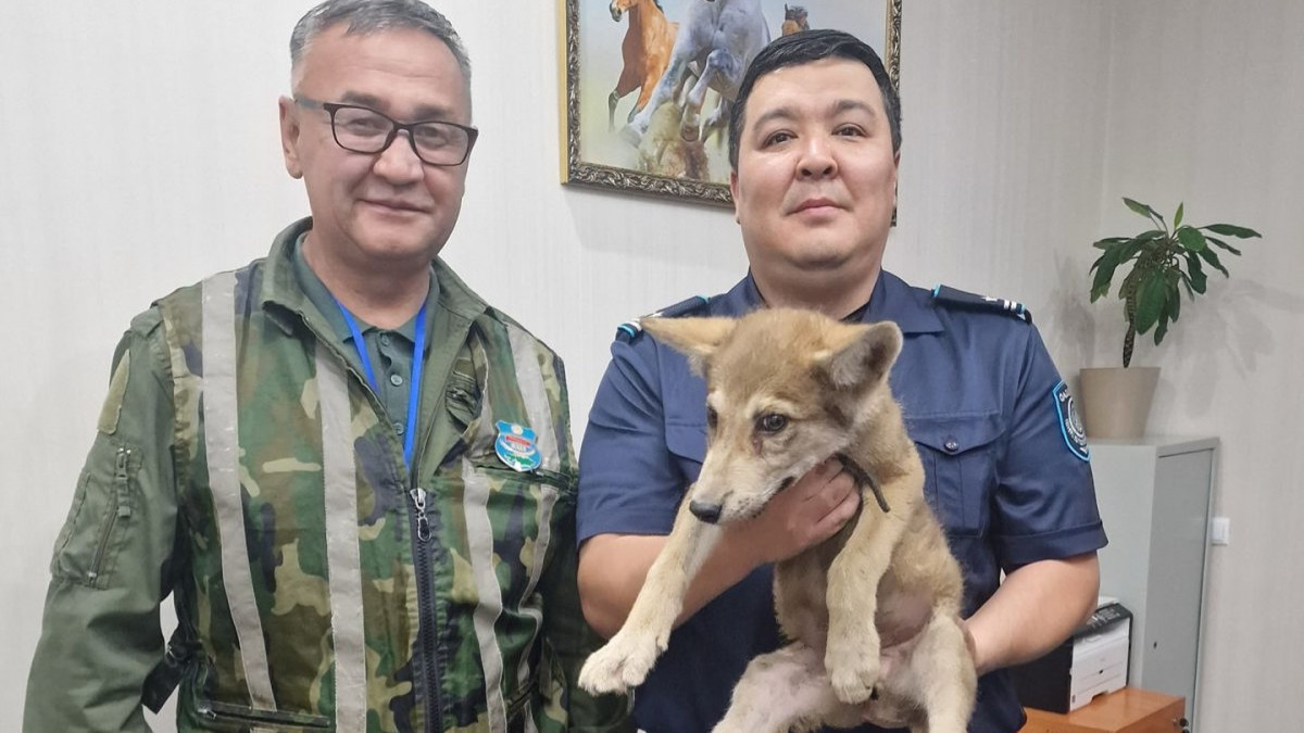  Астана қаласы ПД