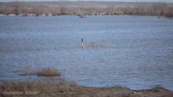 Фотография к новости: Су тасқыны кезінде 6 мың студент көмекке шыққан