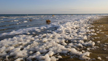 Фотография к новости: Арал тағдыры: Министр нақты жұмыстарды атады