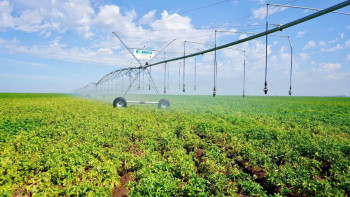 Фотография к новости: Оңтүстіктегі суару жұмыстары бекітілген кестеге сәйкес жүргізіліп жатыр