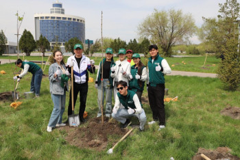 Фотография к новости: Жетісуда қанша ағаш егілді?