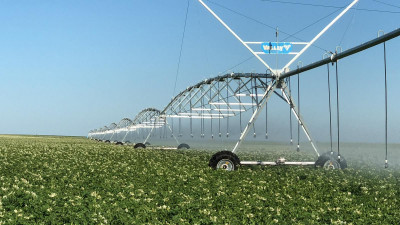 Технологиялар Қазақстандағы ауыл шаруашылығын қалай өзгертіп жатыр