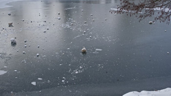 Фотография к новости: Ақтөбе облысында жоғалған ер адам мен немересі суға батқан көліктен табылды