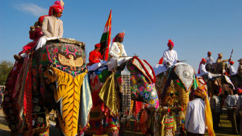 Фотография к новости: Фестиваль кезінде піл жұртқа тап беріп, дүрбелең тудырды
