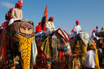 Фотография к новости: Фестиваль кезінде піл жұртқа тап беріп, дүрбелең тудырды