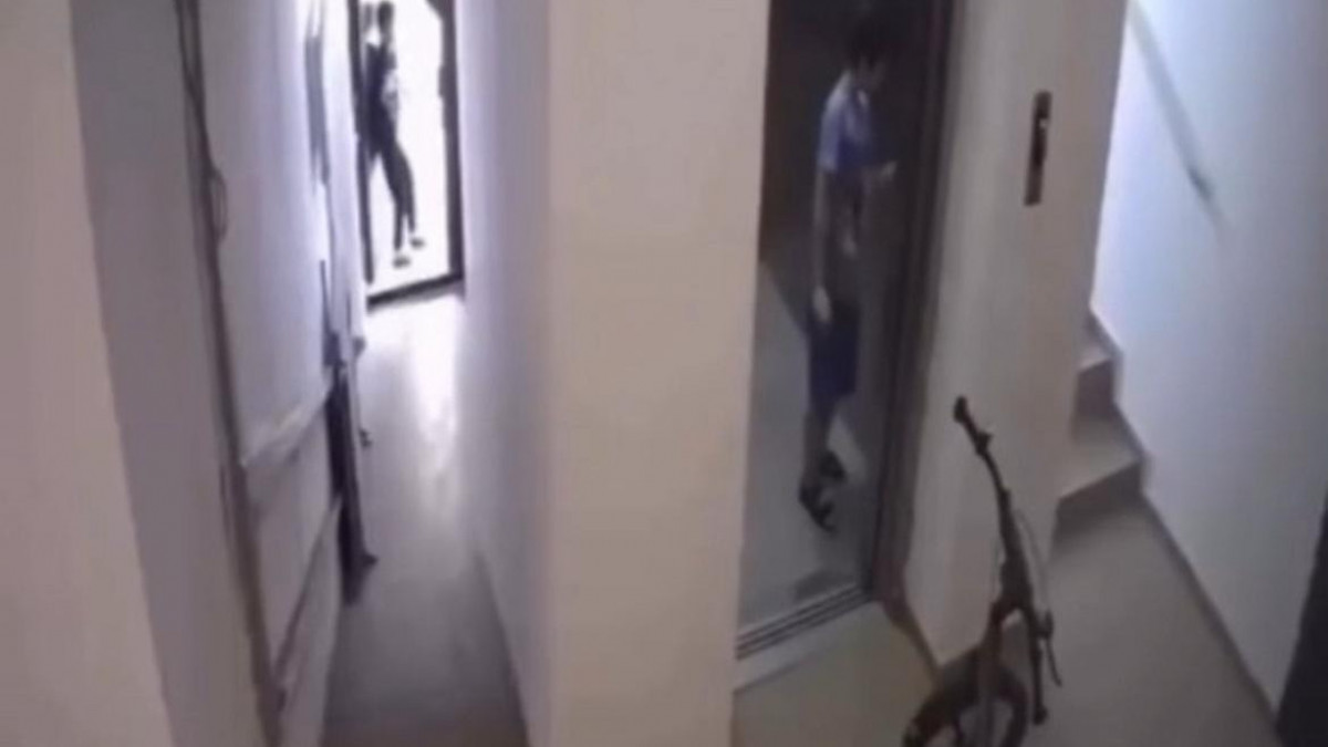  видеодан скриншот