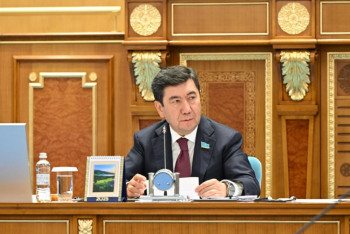 Фотография к новости: Үкімет қорытындыларын кейде 7 ай күтеміз – Қошанов